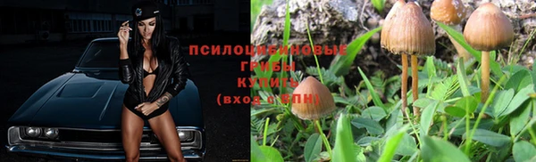 СК Арсеньев