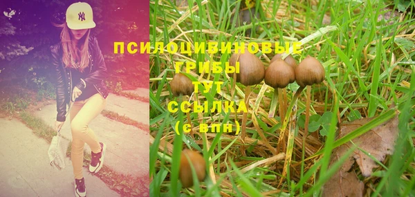 прущие грибы Фурманов